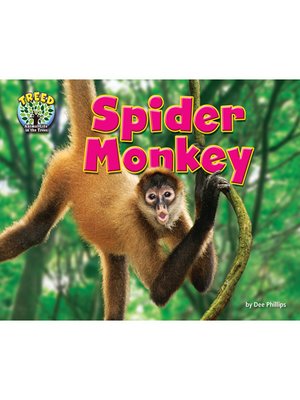 cover image of Spider Monkey